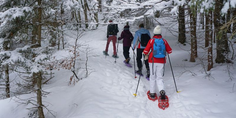 Snowshoeing